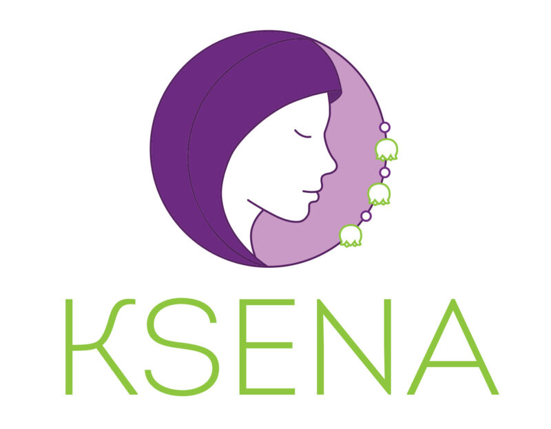 Logo Nevladine organizacije Ksena