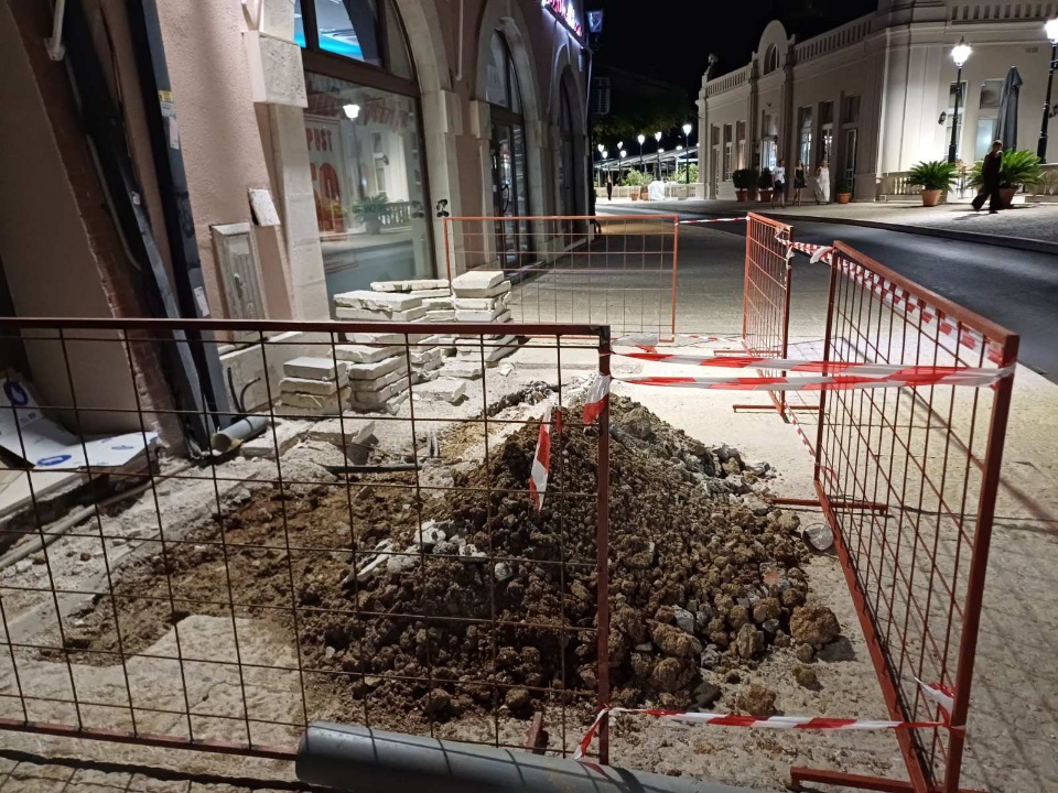 Palo stablo bora u Njegoševoj ulici