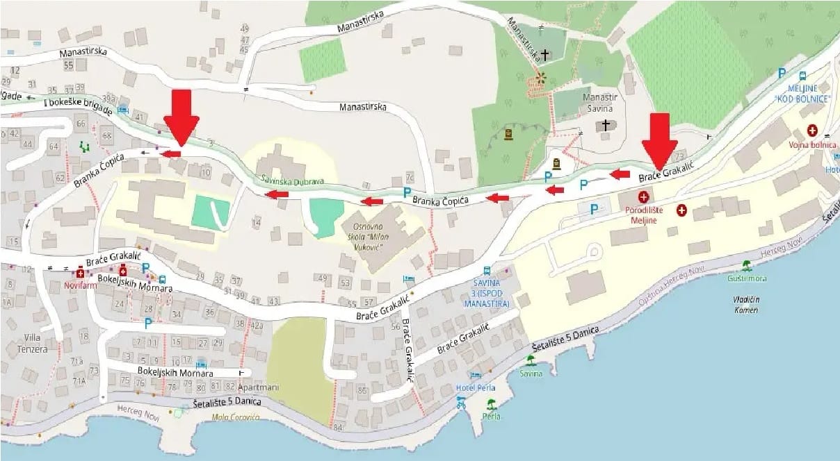 Mapa ulice Branka Ćopića na Savini