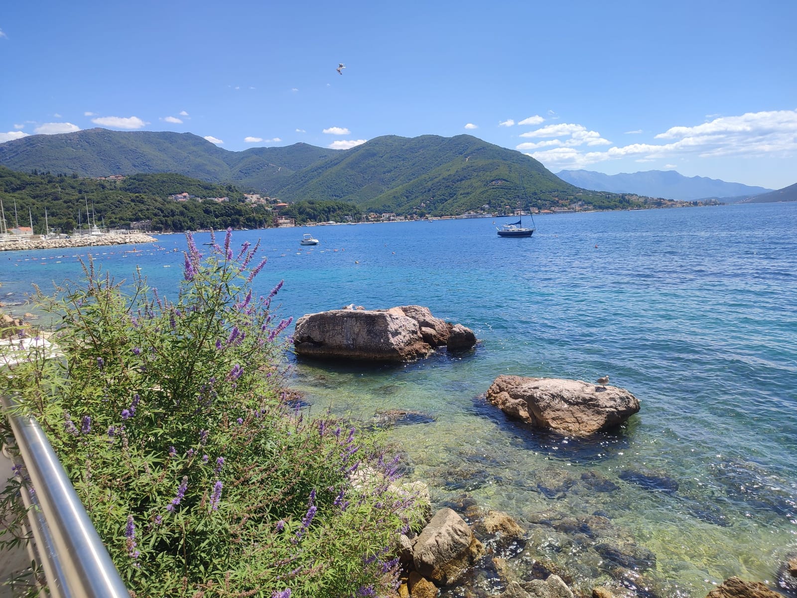 More i stijene sa galebovima