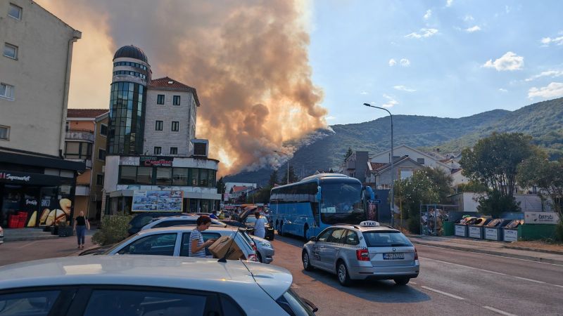 Požar u zaleđu hercegnovske opštine