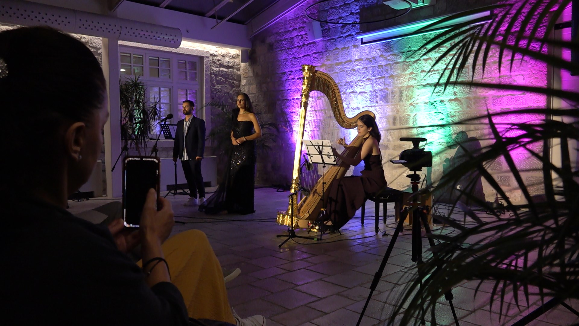 Koncert harfe i glasa u hotelu Lazure