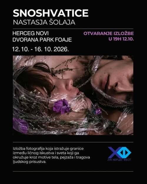 Plakat izložbe „Snoshvatice“ Nastasje Šolaje