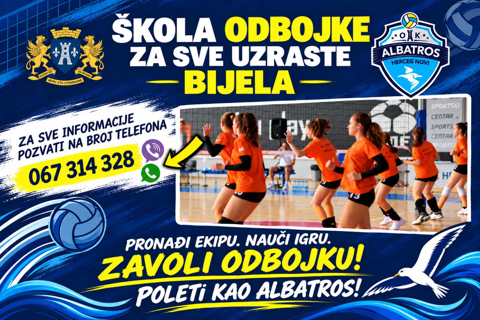 Plakat škole odbojke OK Albatros za Bijelu