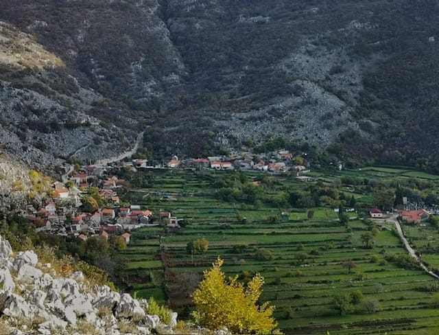 Kruševice